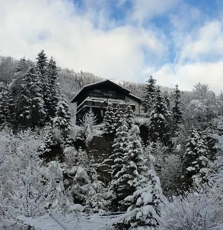 Taube * Bad Gastein